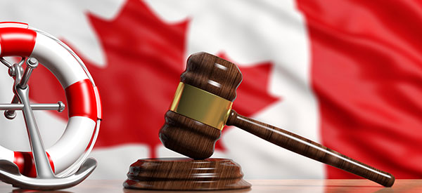 Make your dream of becoming a Canadian citizen come true by applying with the expertise of an immigration lawyer.